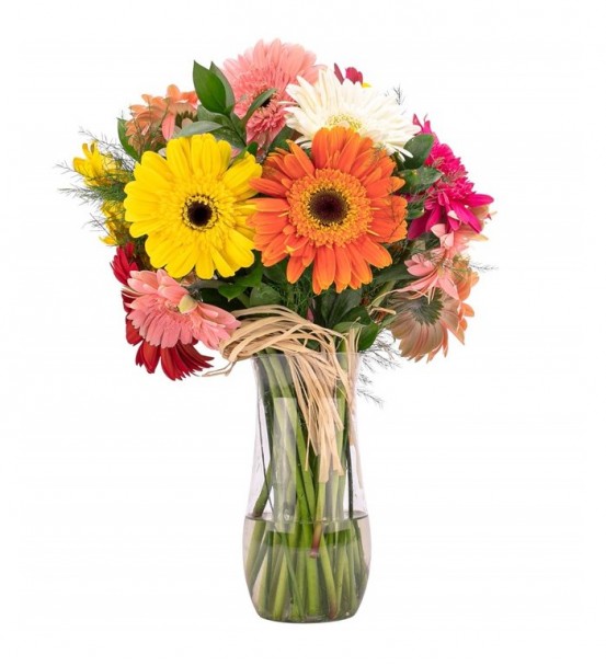 Vazoda Karışık Renkli Gerbera Demeti